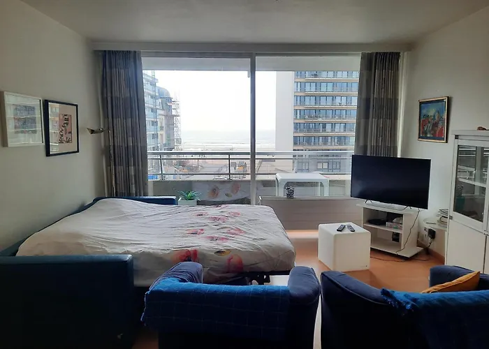 Zeezicht Oostende
